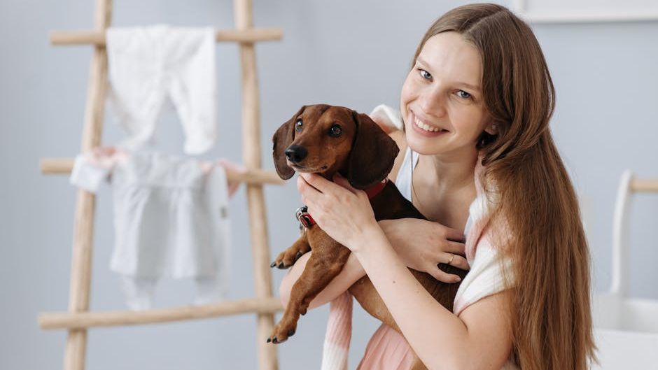 10 Financially Manageable Dog Breeds That Still Offer Incredible Companionship