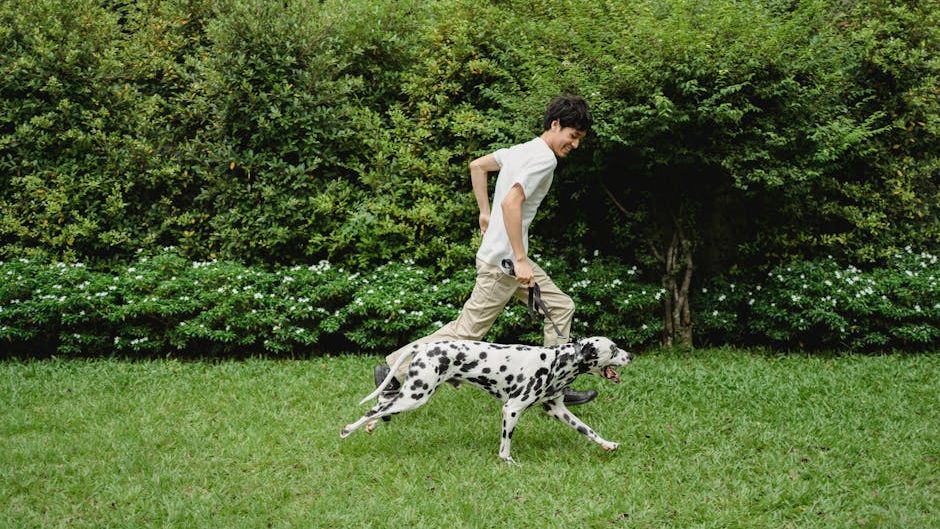 Avoid Adopting These 7 Dog Breeds If You're a Dog Lover in Your 30's (And 5 You Should)