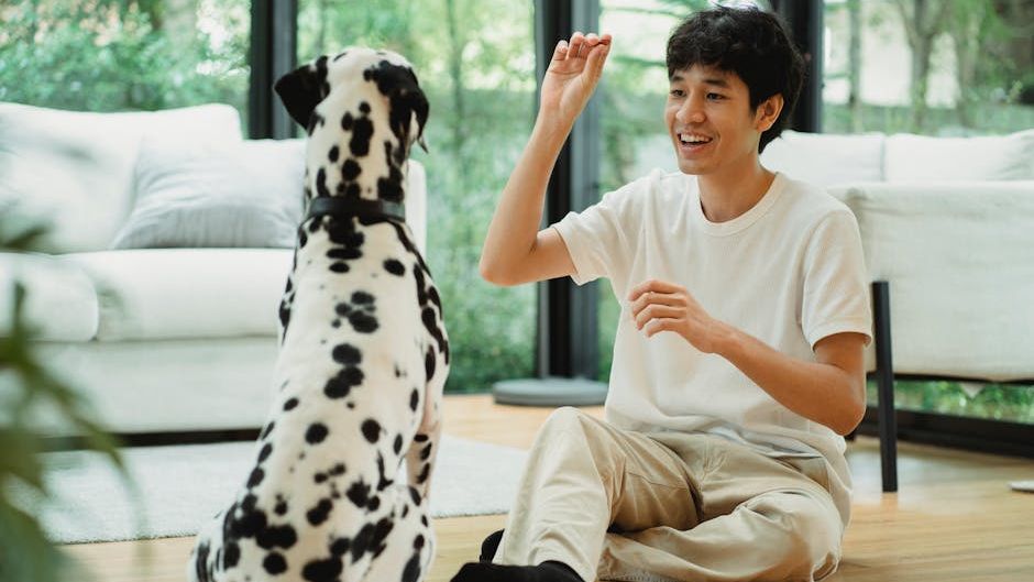 Psychology Says Your Dog Watches Your Emotional Reactions More Than Your Actions