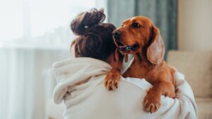 Psychology Says Your Dog Notices Emotional Exhaustion Before You Do