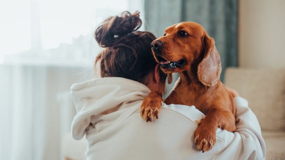 Psychology Says Your Dog Notices Emotional Exhaustion Before You Do