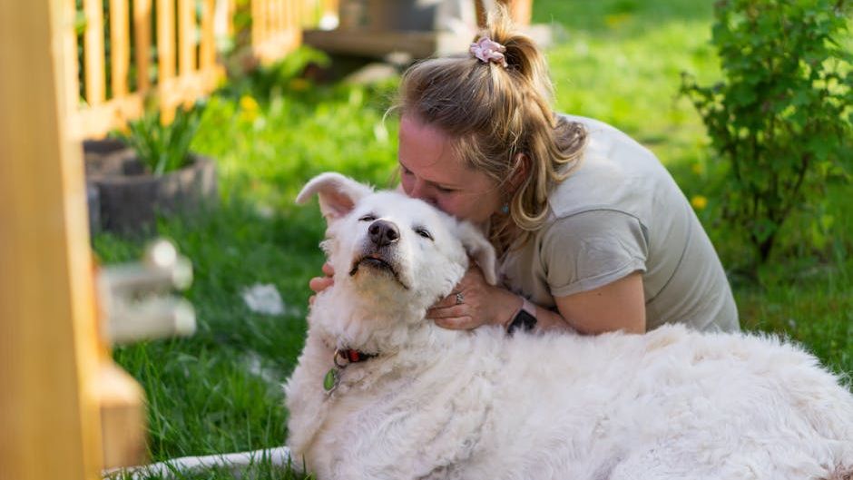 Psychology Says Dogs Become More Emotionally Attached During Human Loneliness