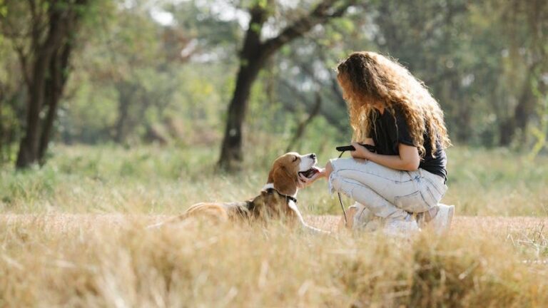 People Who Prefer Staying Home With Their Dog Over Socializing Often Possess a Rare Form of Loyalty Most Humans Lack