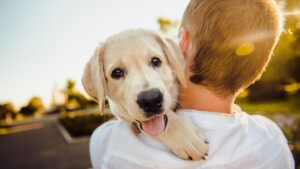 10 Ways Your Dog Protects Your Mental Health Without You Ever Realizing It