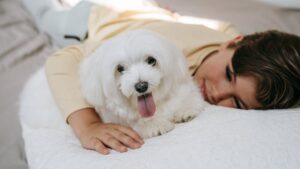 12 Dog Breeds That Understand Zodiac Water Signs Better Than Humans Do