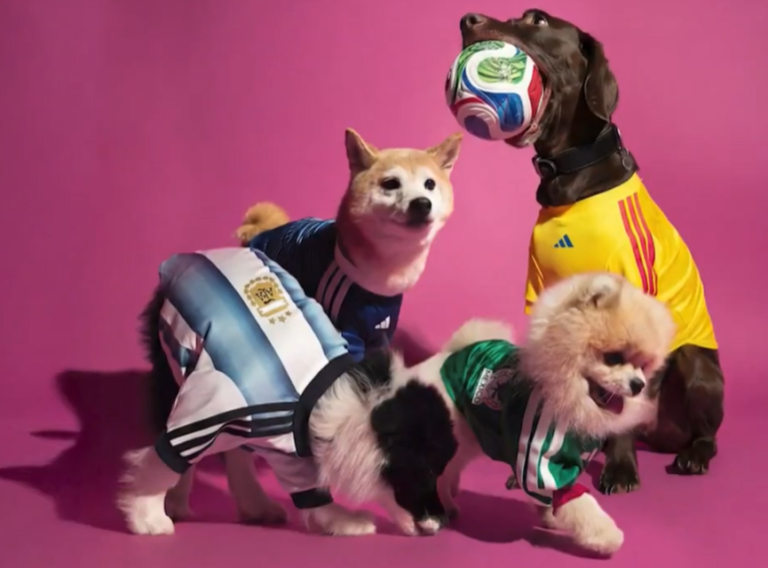 Paws on the Pitch: Adidas Unveils World Cup 2026 Pet Jerseys