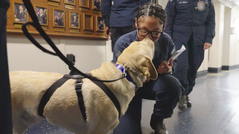 How Therapy Dogs On US Warships Are Helping Sailors With Mental Health At Sea