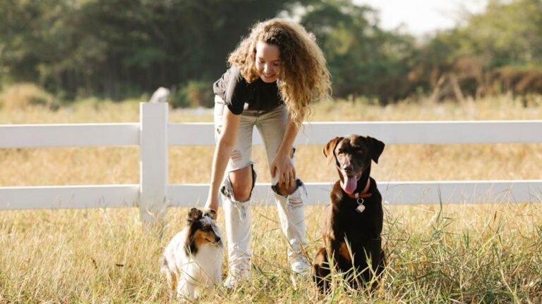 11 Small Things That Mean the Absolute World to Your Dog Every Single Day