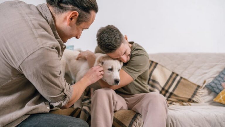 8 Things You Do Without Thinking That Make Your Dog Feel Completely Abandoned