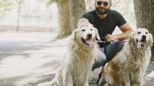 Which Zodiac Signs Form the Deepest Bonds With Rescue Dogs