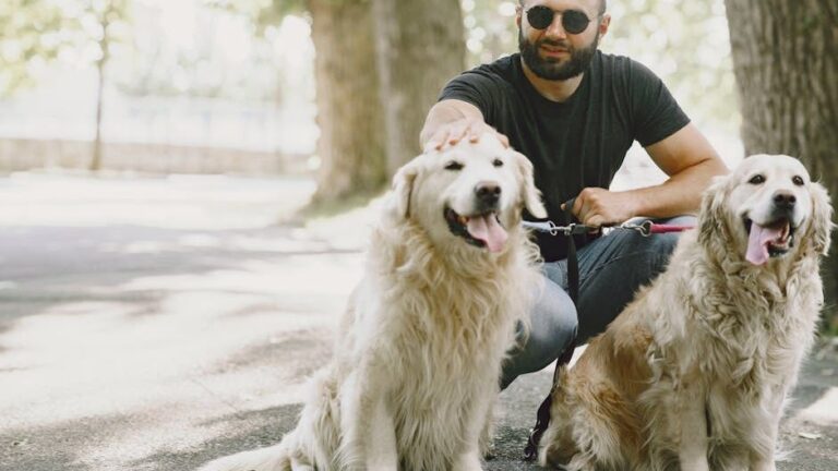 Which Zodiac Signs Form the Deepest Bonds With Rescue Dogs