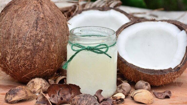 The Benefits of Using Coconut Oil in Dog Treats