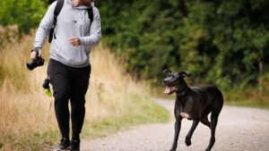 The Zodiac Signs That Are Destined to Fall in Love With a Great Dane