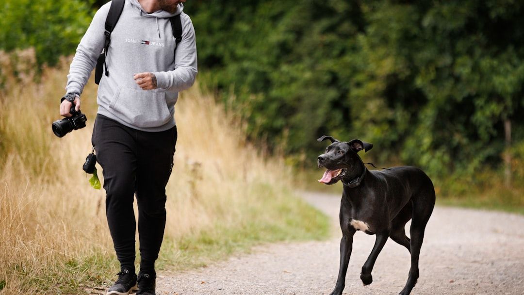 The Zodiac Signs That Are Destined to Fall in Love With a Great Dane