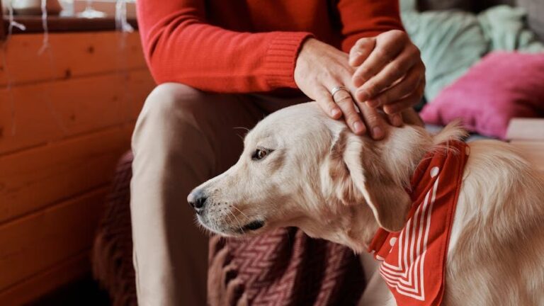 Psychology Says Dogs Who Experienced Early Neglect Are Drawn to Humans Who Carry the Same Quiet Sadness