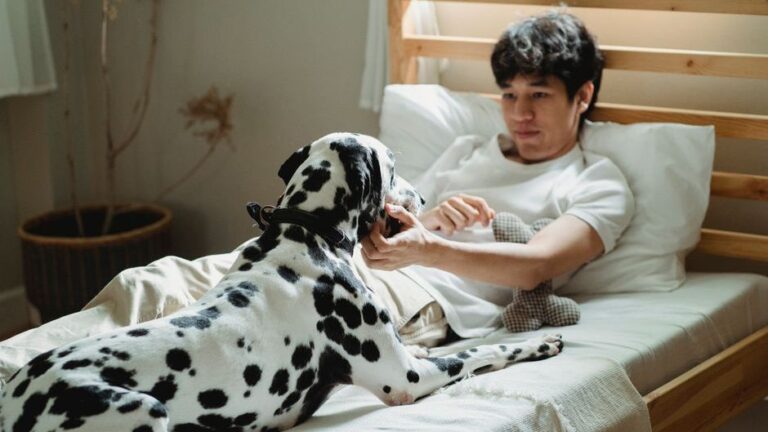 Psychology Says Dogs Who Sleep at Your Feet Instead of Beside You Are Revealing Something About Your Energy