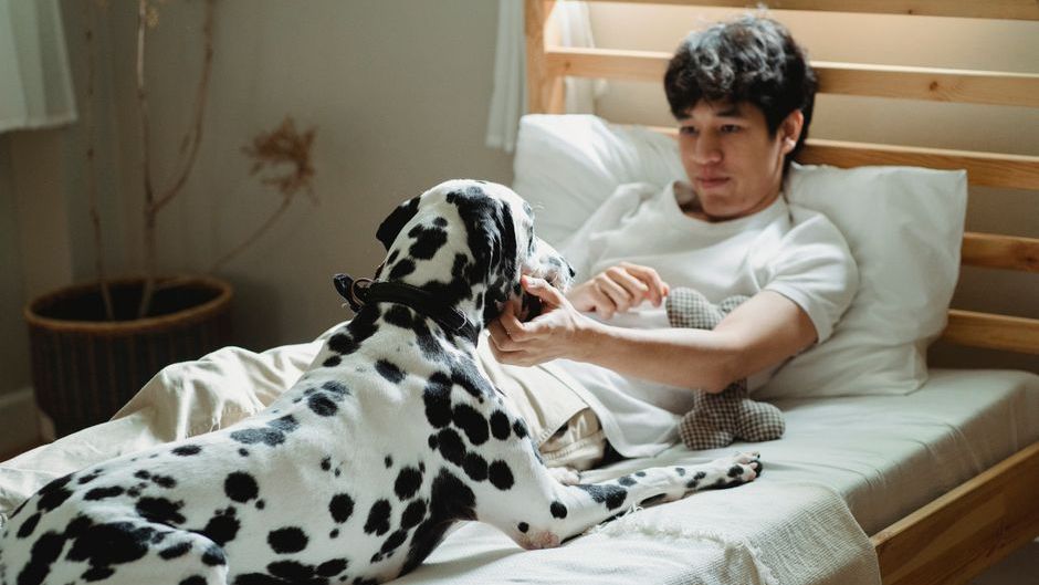 Psychology Says Dogs Who Sleep at Your Feet Instead of Beside You Are Revealing Something About Your Energy