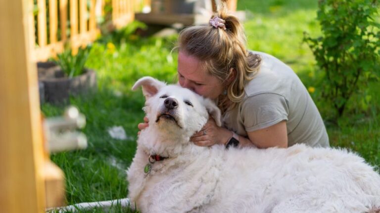 Psychology Says the Way You Greet Your Dog After Work Reveals Whether They Feel Truly Loved