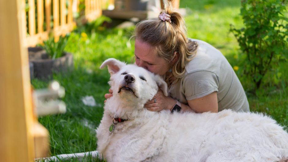 Psychology Says the Way You Greet Your Dog After Work Reveals Whether They Feel Truly Loved