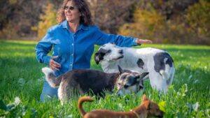 13 Things That Happen to Your Brain When You Own a Dog According to Neuroscience