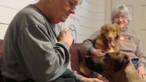 The Beautiful Thing Dogs Do When They Know You're Going Through a Divorce