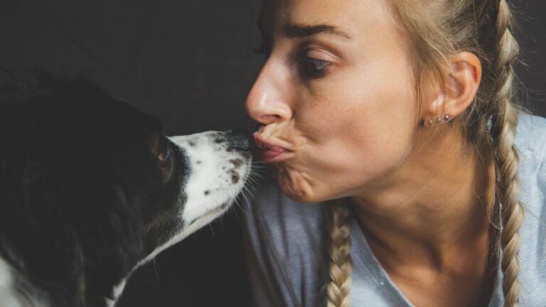 Psychology Says Dogs Read Human Micro-Expressions and Adjust Their Behavior Accordingly Without Any Training