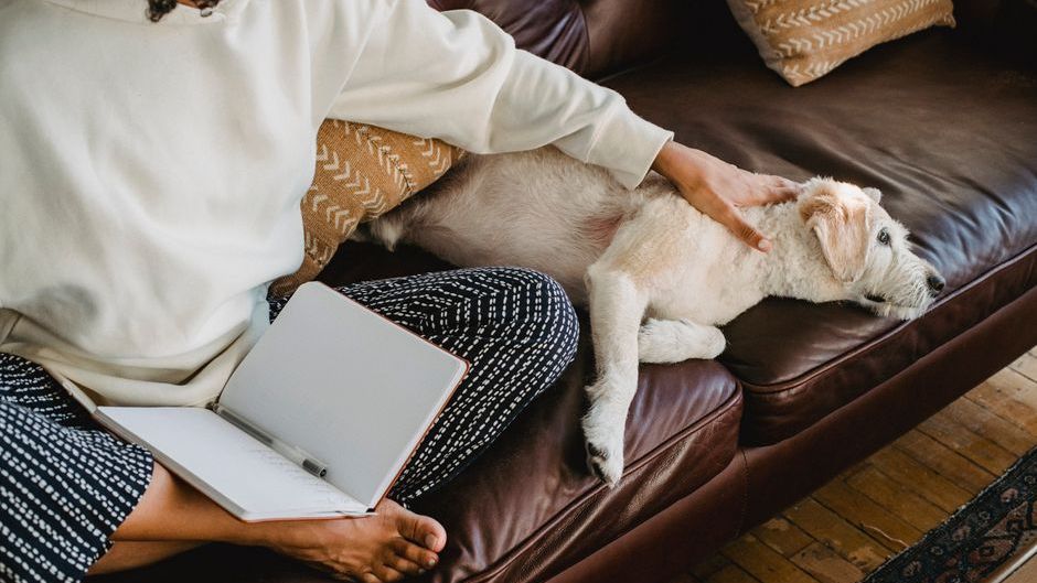 11 Things Your Dog Memorizes About You That Will Outlive You Both