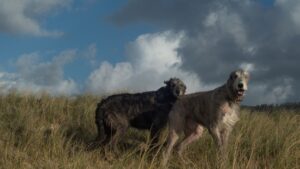 If Your Dog Does This One Thing During Storms, Veterinarians Say You Need to Act Immediately