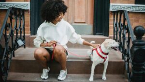 How Not To Pet A Dog