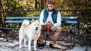 12 Dog Breeds That Perfectly Match Introverted Zodiac Signs