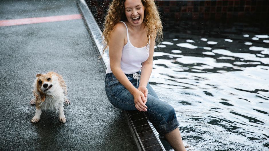 Which Zodiac Signs Are Most Likely to Spoil Their Dogs Too Much