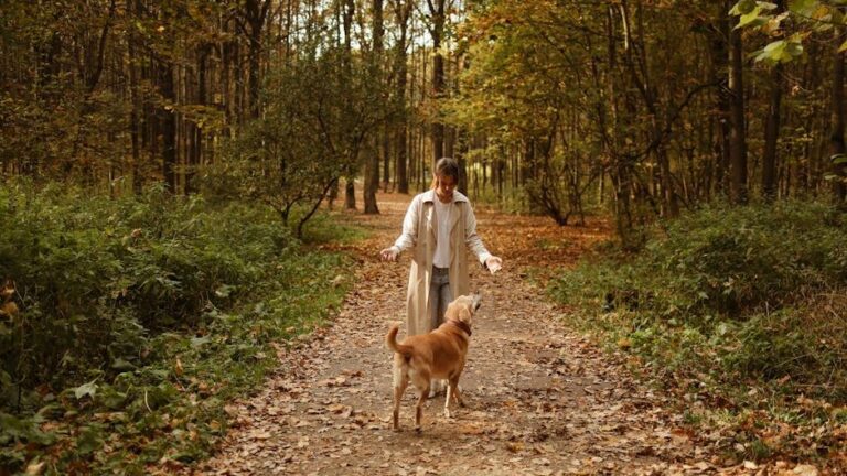 The Hidden Psychology Behind Why Dogs Follow You To The Bathroom