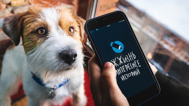 Psychology Says Dogs Feel Abandoned Every Single Time You Check Your Phone Instead Of Them