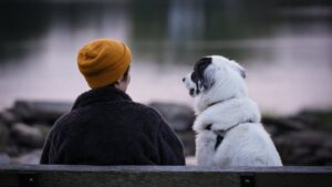 People Who Talk to Their Dogs Like a Human Often Have This Rare Emotional Intelligence Trait Psychologists Admire