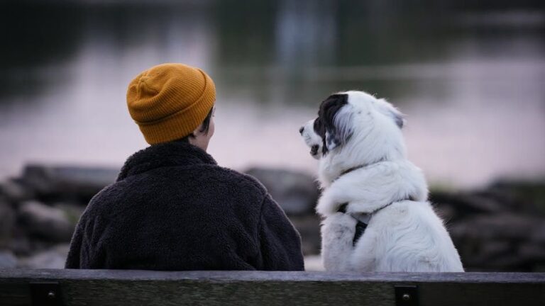 People Who Talk to Their Dogs Like a Human Often Have This Rare Emotional Intelligence Trait Psychologists Admire