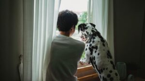 Psychology Says Dogs Mirror Their Owner's Trauma Response When They Sense Danger