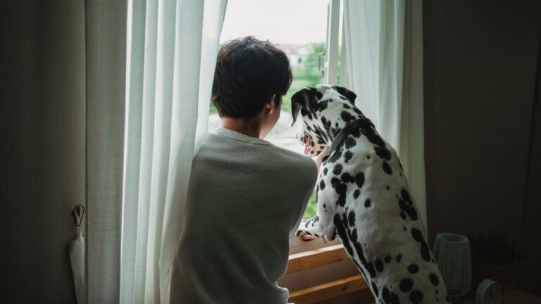 Psychology Says Dogs Mirror Their Owner's Trauma Response When They Sense Danger
