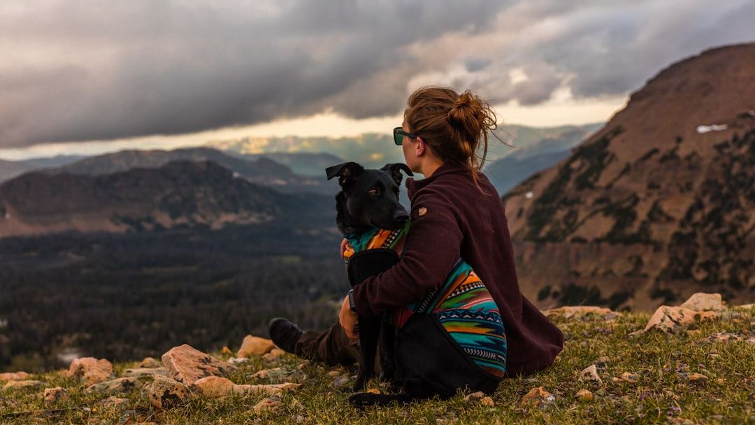 15 Small Signs Your Dog Is Holding On Just to Spend One More Day With You