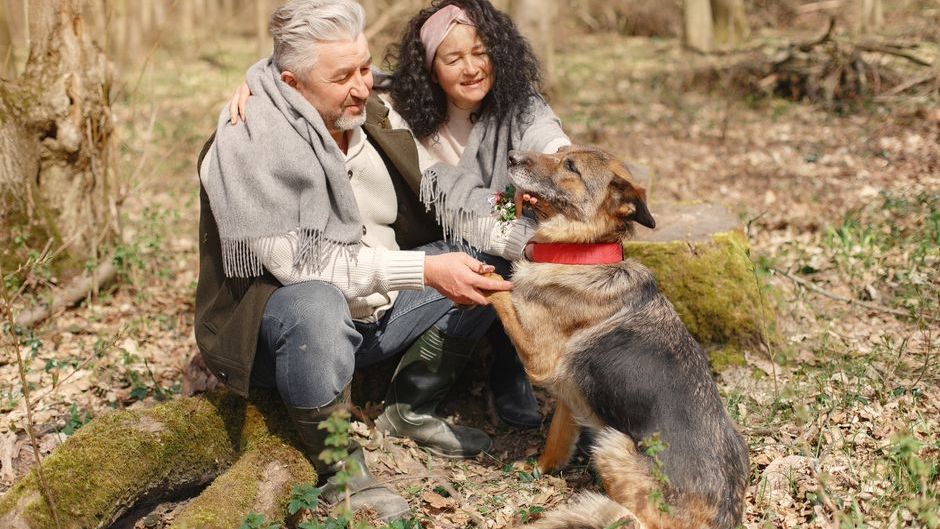 15 Worst Dog Breeds For Seniors