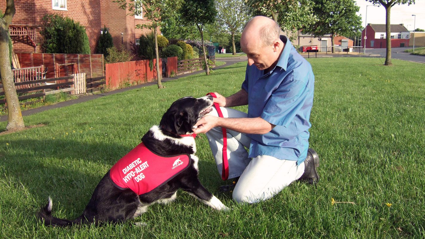 If You're Over 50 and Have These 5 Health Issues Your Dog Already Knows About Them