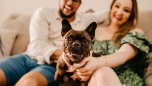 Why This Popular Dog Breed Might Be Ruining Your Family