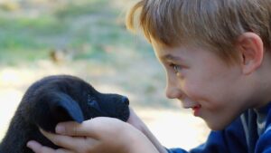 Zoology Says the Reason Some Dogs Stare Directly Into Human Eyes Has Less to Do With Obedience and More to Do With 15,000 Years of Co-Evolving Emotional Circuitry