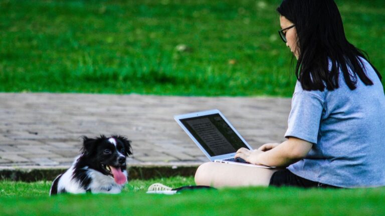 How the pandemic changed dog behavior over 3 years