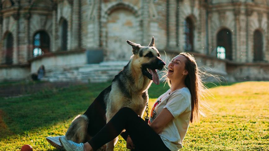 The Zodiac Signs That Are Naturally Born to Own a German Shepherd