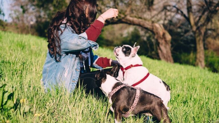 Psychology Says The Way You Discipline Your Dog Reveals Whether You Were Emotionally Neglected as a Child