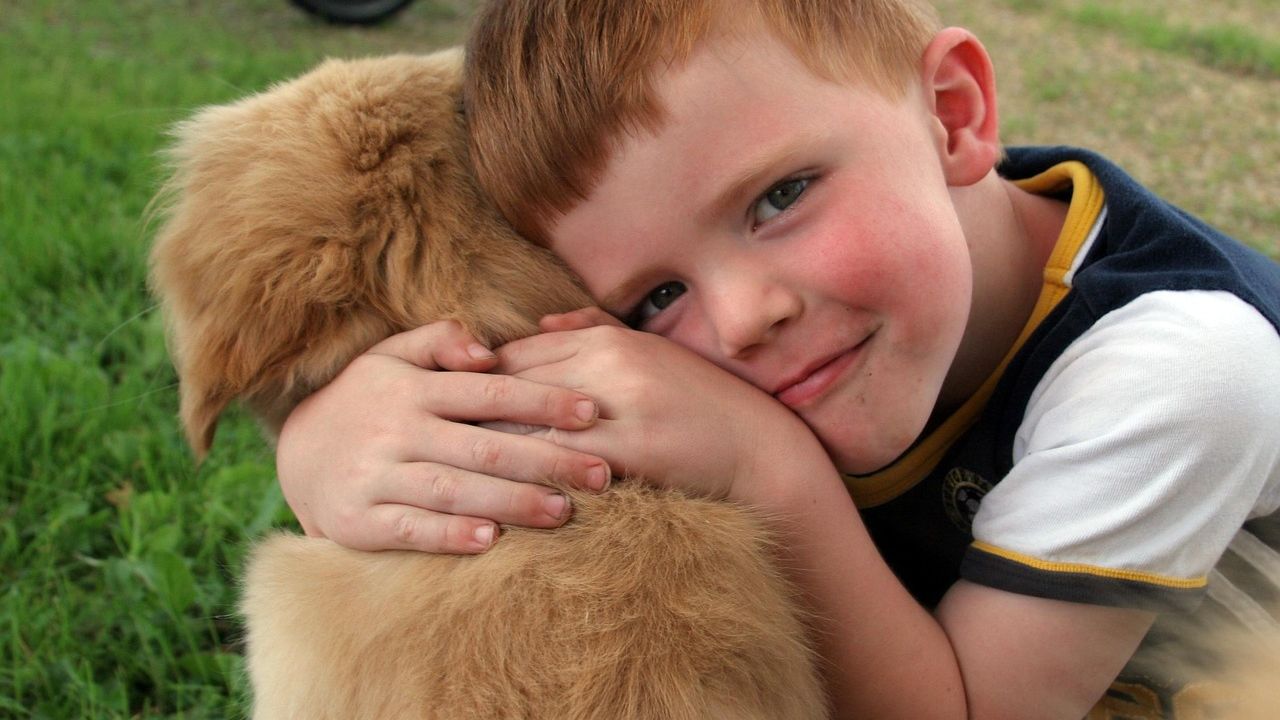 Psychology Says People Who Cry When Their Dog Looks at Them Have Experienced a Specific Type of Childhood Loss