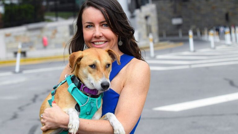 Psychology Says Dogs Instinctively Position Themselves Between Their Owner And Anyone Who Triggers Cortisol Spikes