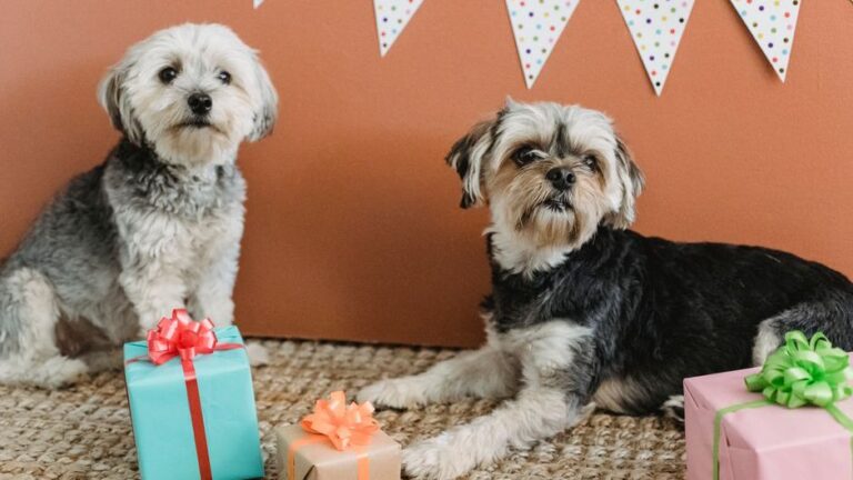 Why Dogs Bring You Dead Animals - The Psychology Behind This Misunderstood Gift
