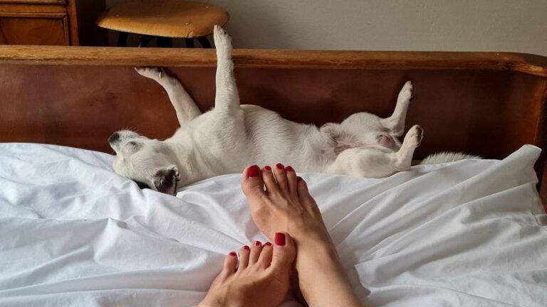 Psychology Says Dogs Who Sleep at Your Feet Instead of Beside You Are Trying to Tell You Something About Your Health
