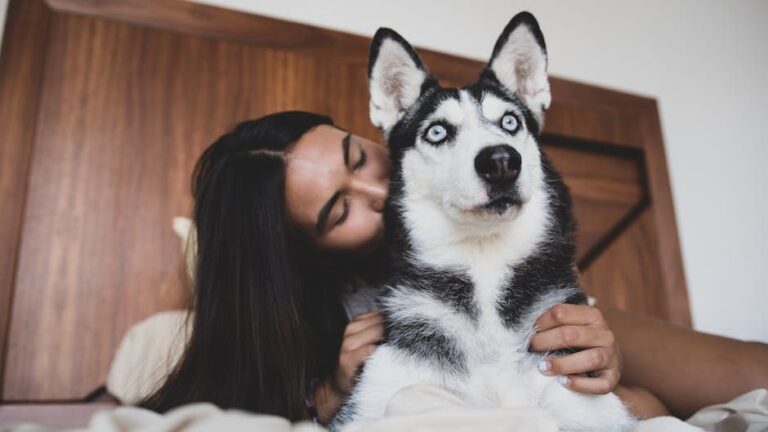 The Zodiac Signs That Thrive With a Husky - And the Ones That Should Never Own One